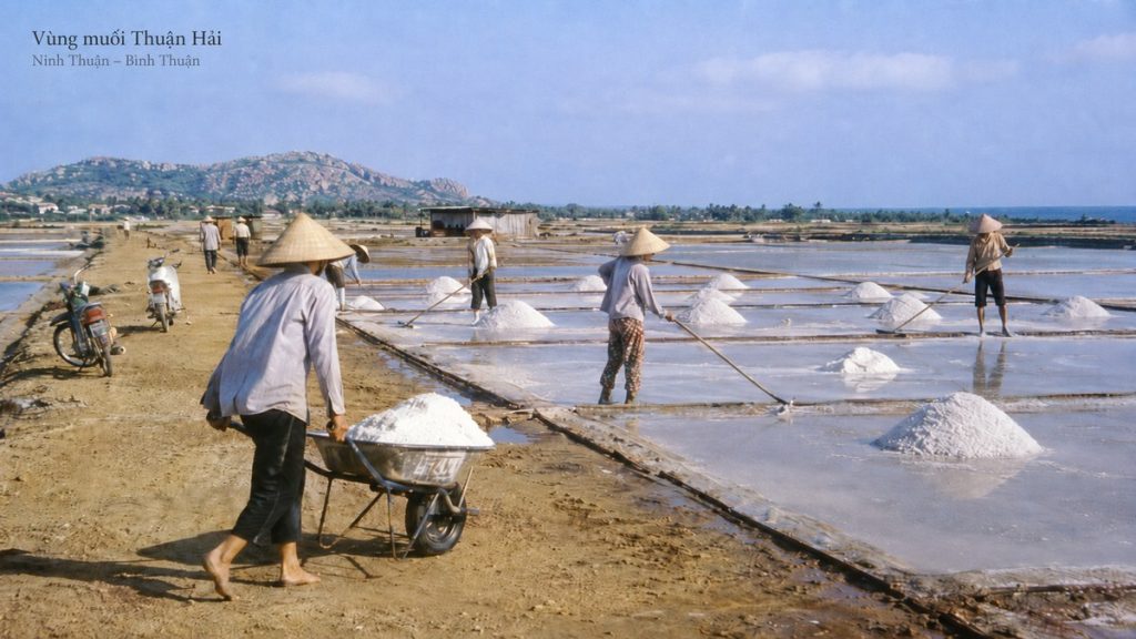 muối thuận hải